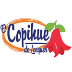 Cliente Comida Rápida